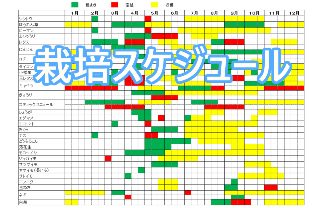 8 月 野菜 栽培 カレンダー エクセル